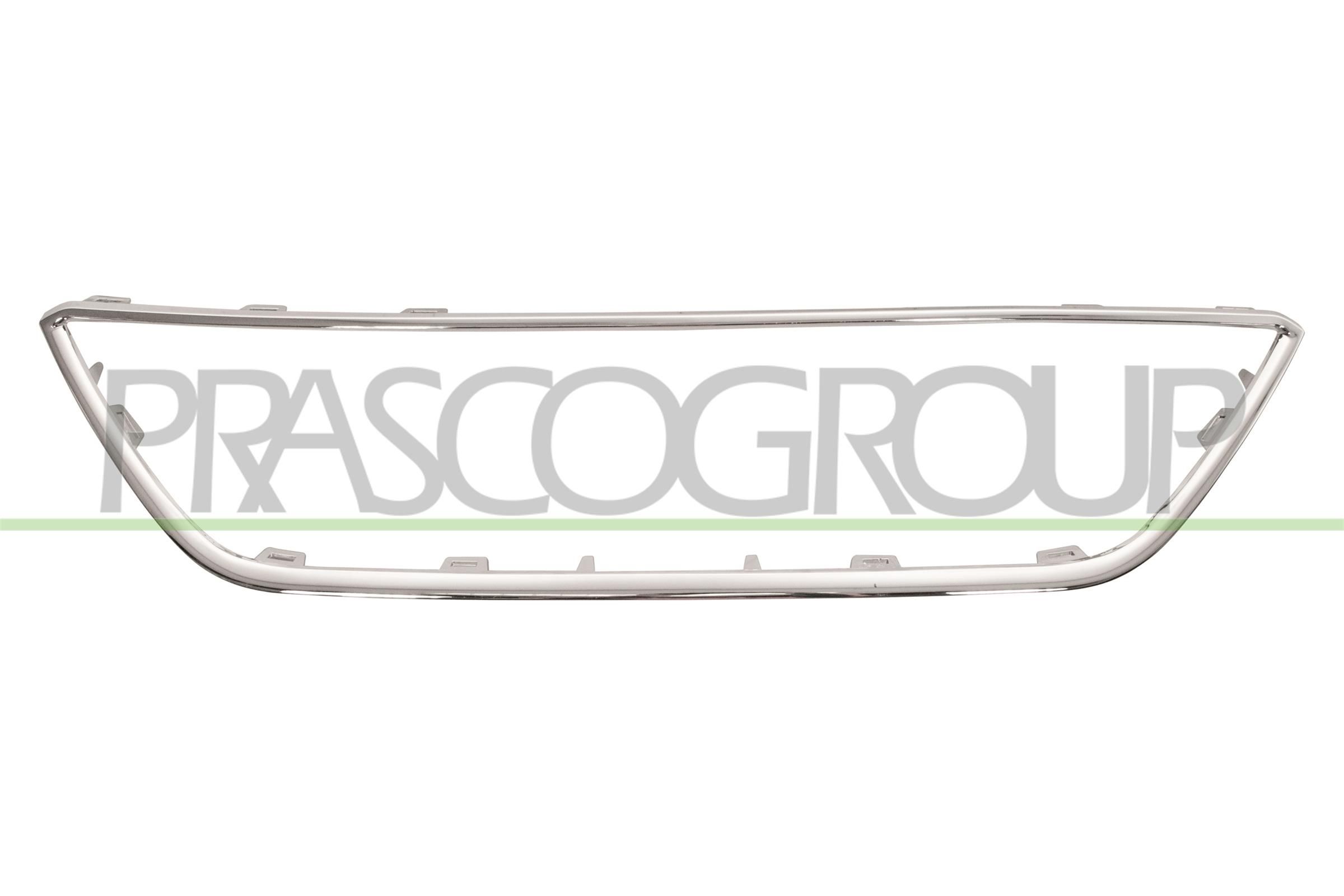 Zier-/Schutzleiste, Kühlergitter