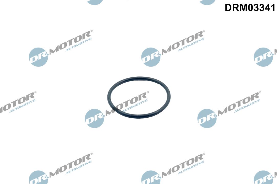 Dr.Motor Automotive DRM03341 Seal, thermostat