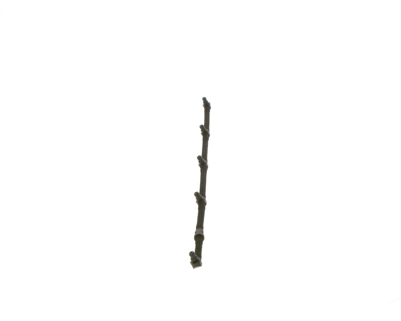 Schlauch, Leckkraftstoff