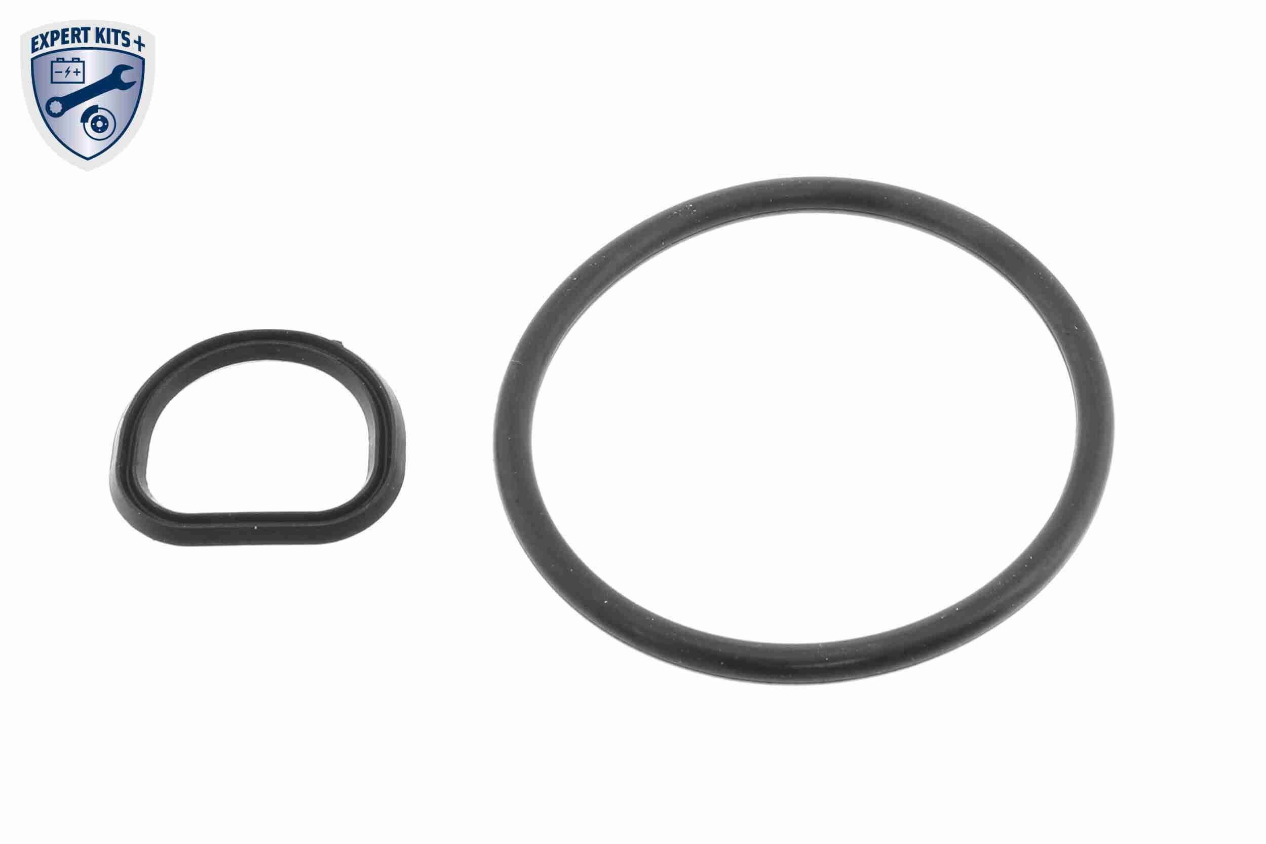 remonto komplektas, variklio karterio alsuoklis