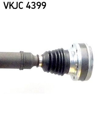 VKJC 4399_3.JPG