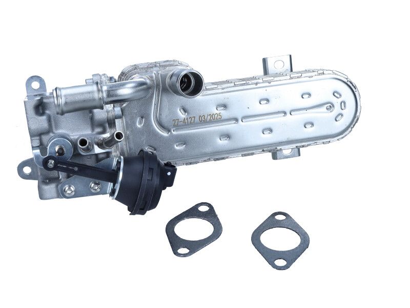 Maxgear 27-4127 Kühler, Abgasrückführung