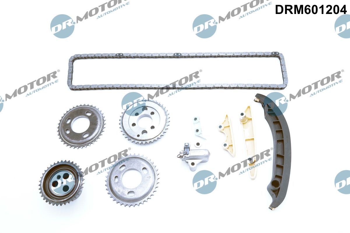 Timing Chain Kit DRM601204