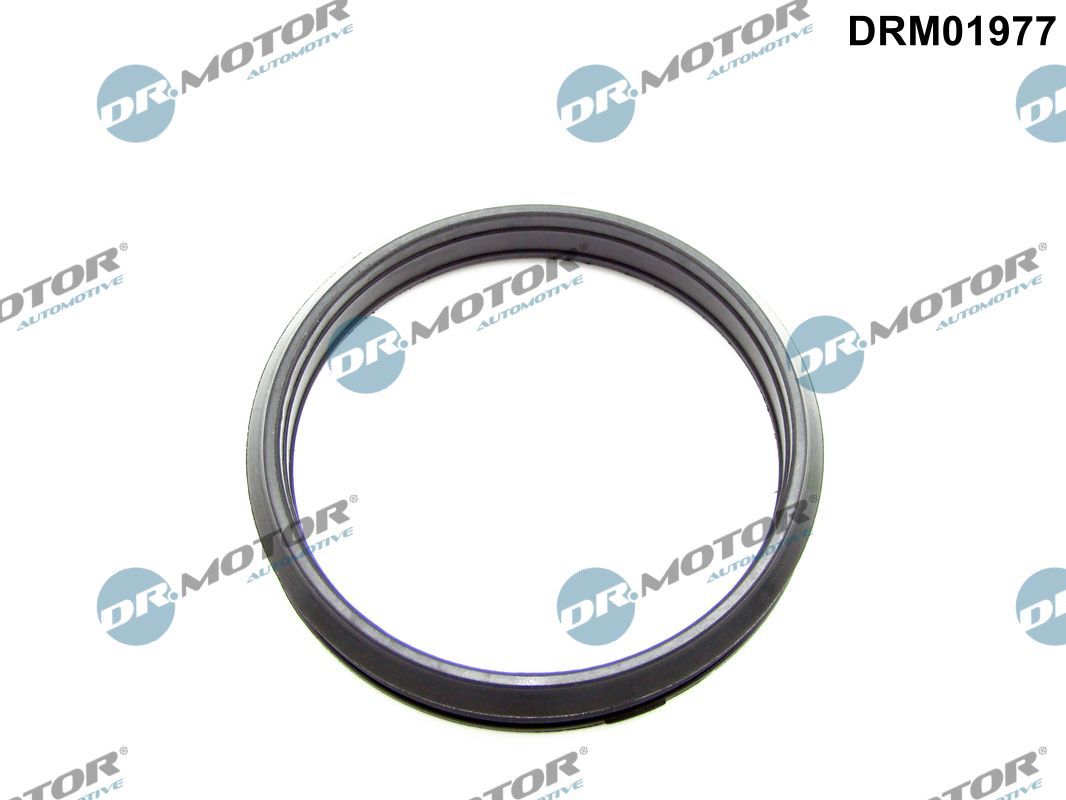 Dr.Motor Automotive DRM01977 Seal Ring, charge air hose