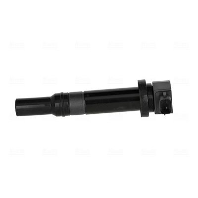 ritė, uždegimas