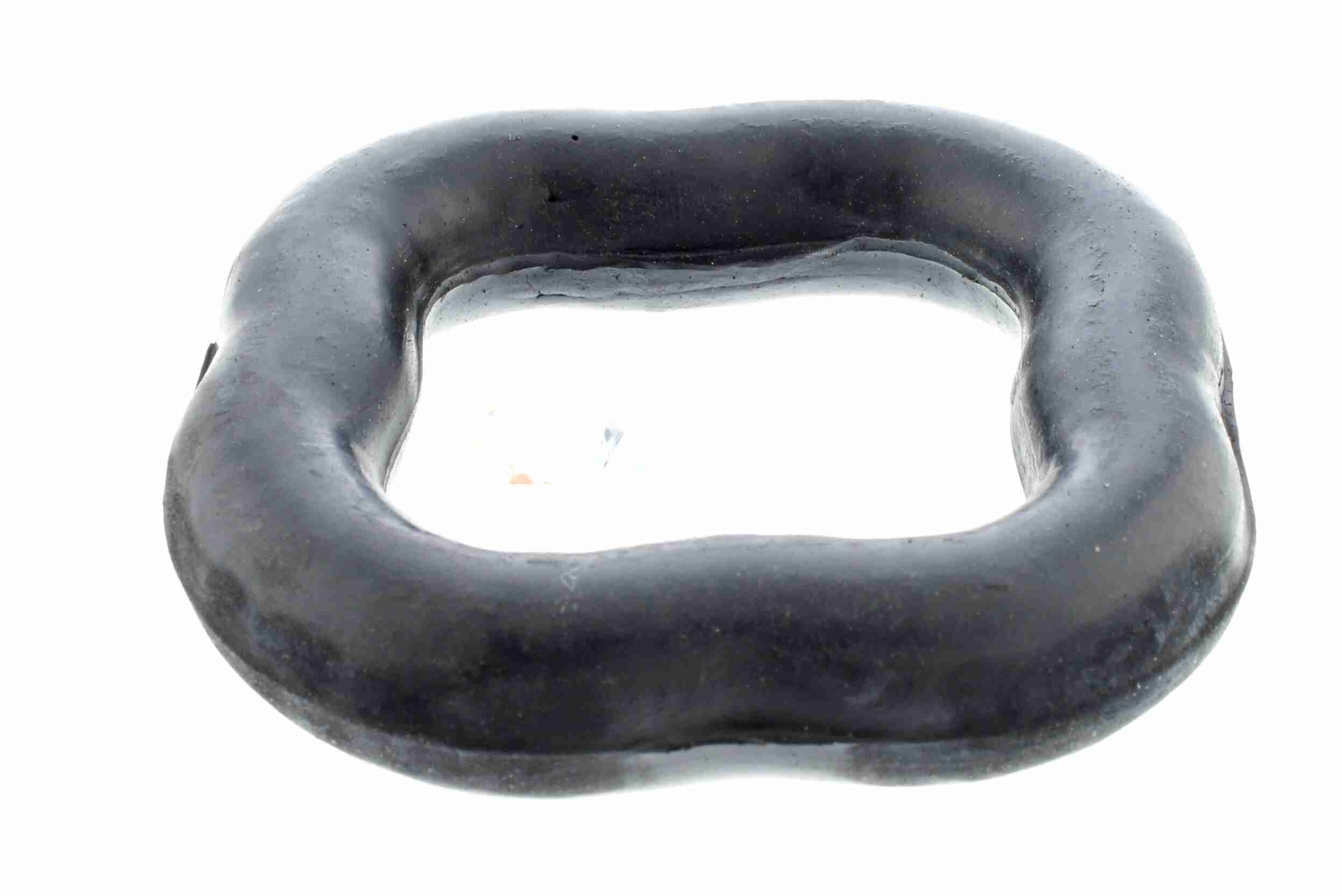 Halter, Schalld&auml;mpfer