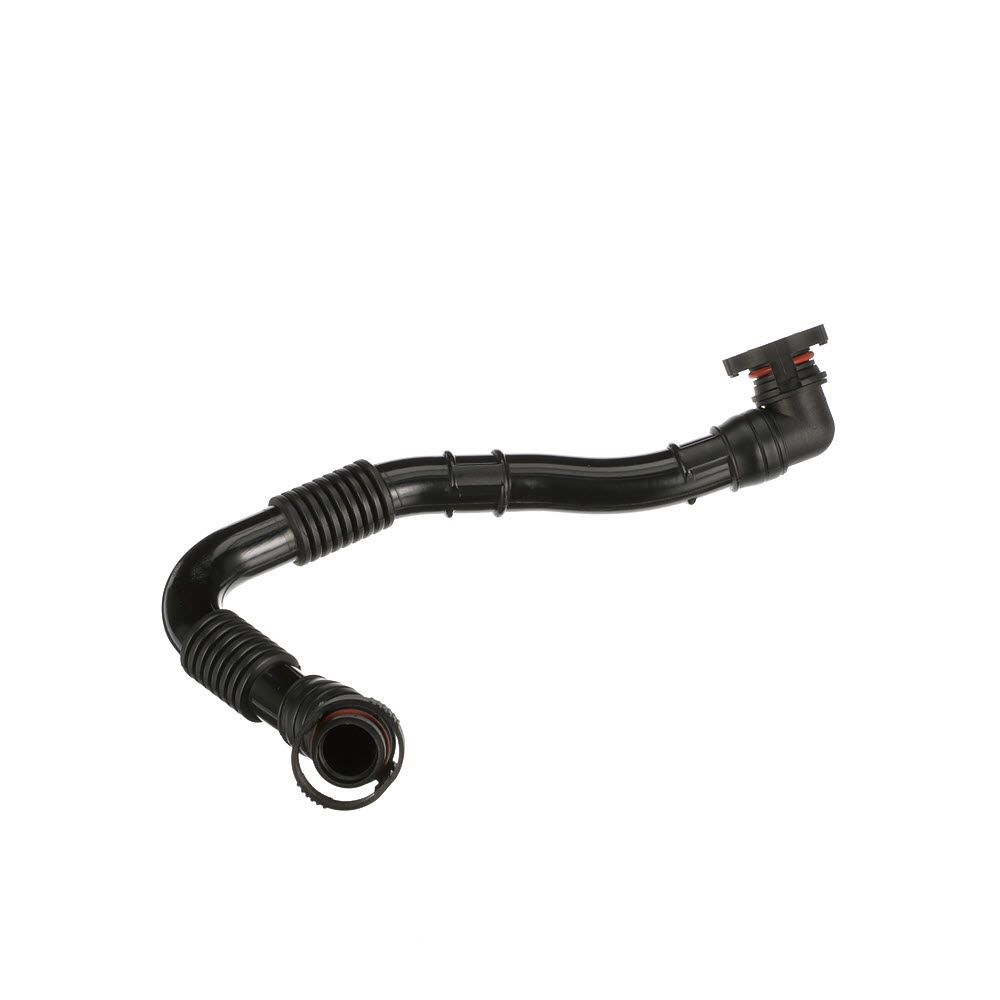 žarna, karterio alsuoklis