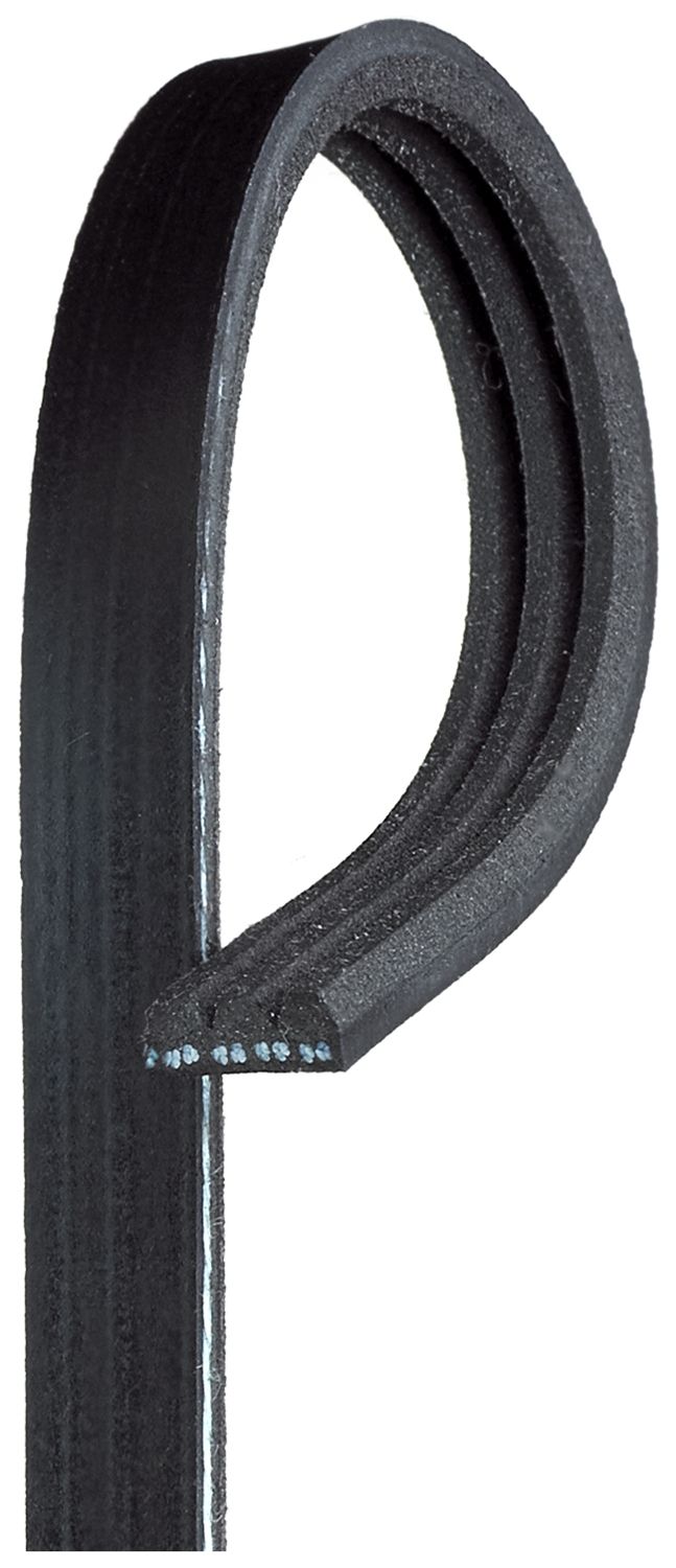 V-Ribbed Belt 3PK700