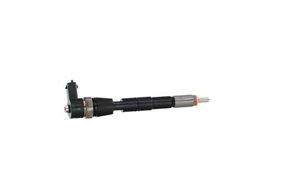INJECTOR REMANTE 002003001085R 37
