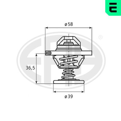 TERMOSTAT LICHID RACIRE