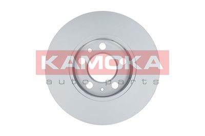 Brake Disc 1031854