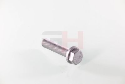 SURUB CAPAT DE AX GH GH391539 24