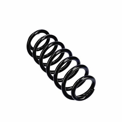 ARC SPIRAL EIBACH R13605 11