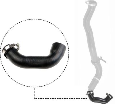 FURTUN EAR SUPRAALIMENTARE