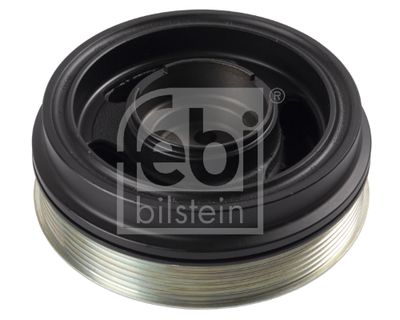 FULIE CUREA ARBORE COTIT FEBI BILSTEIN 174931 1