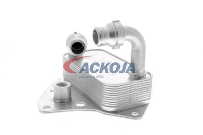 RADIATOR ULEI ULEI MOTOR VEMO V24600051 21