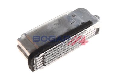 RADIATOR ULEI ULEI MOTOR BOGAP A4222105 3