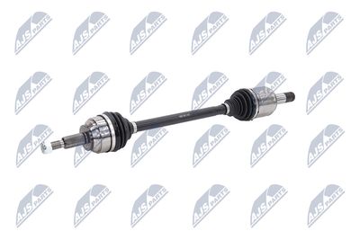 PLANETARA NTY NPWCH126 22