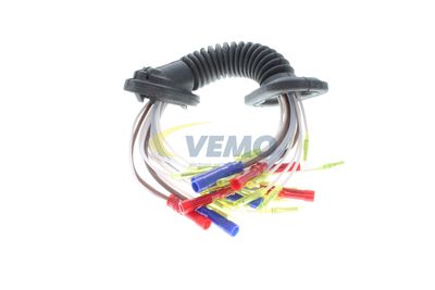 13 Artikelbild