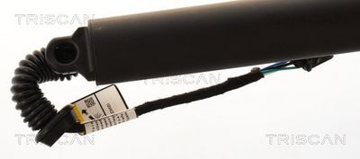 AMORTIZOR PORTBAGAJ TRISCAN 871029330 2