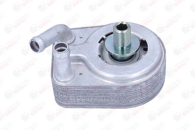 RADIATOR ULEI ULEI MOTOR BIRTH 80822 7