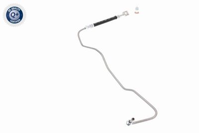 CONDUCTE FRANA VAICO V101906 5