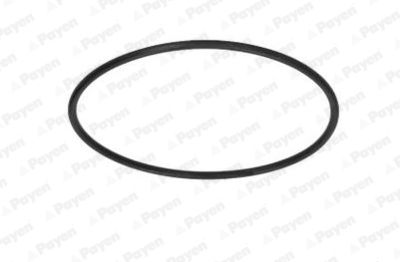 PAYEN KH007 PAYEN KH007