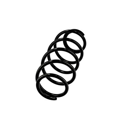 ARC SPIRAL EIBACH R10067 14