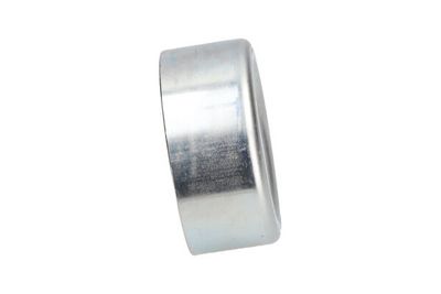 Kavo Parts - Napínacia kladka rebrovaného klinového remeňa TOYOTA , DTP-9045