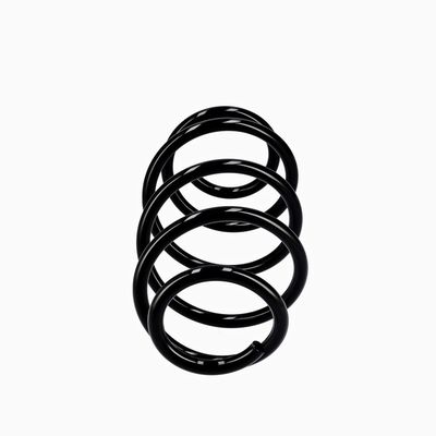 ARC SPIRAL EIBACH R10302 13