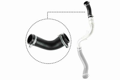 FURTUN EAR SUPRAALIMENTARE