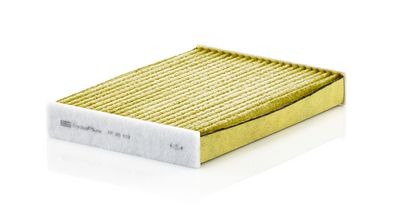 Filter, Innenraumluft