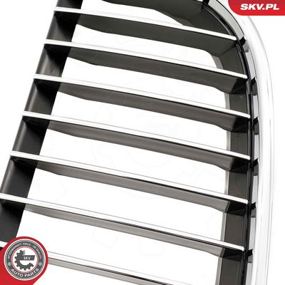 GRILA RADIATOR ESEN SKV 66SKV088 6