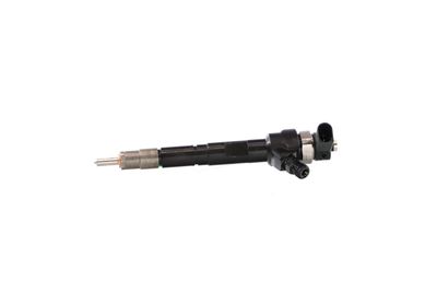 INJECTOR REMANTE 002003000034R 8
