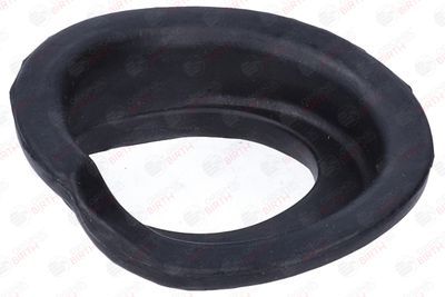 SAIBA ARC BIRTH 56745 12