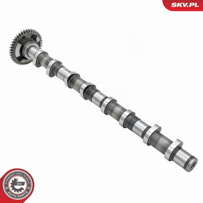 AX CU CAME ESEN SKV 80SKV012 2