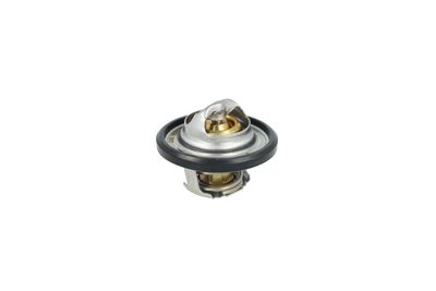 TERMOSTAT LICHID RACIRE NRF 725544 36