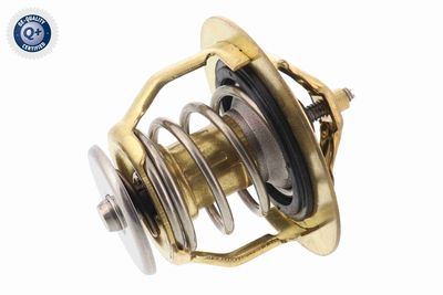Termostat, chladivo ACKOJA A37-99-0010
