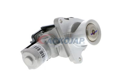 SUPAPA EGR ACKOJA A53630003 54