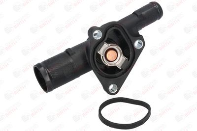 FLANSA LICHID RACIRE BIRTH 8696 7