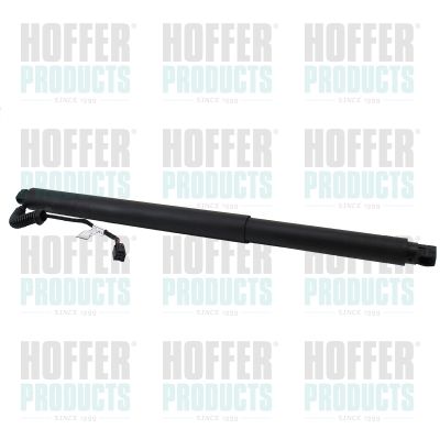 Газовая пружина, раздвижной пол (багажный/грузовой отсек) HOFFER H301099 для NISSAN MURANO
