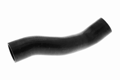 FURTUN EAR SUPRAALIMENTARE