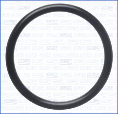 DICHTRING ANSAUGSCHLAUCH-LUFTFILTERGEHäUSE