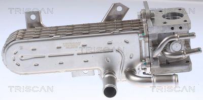 RADIATOR RECIRCULARE GAZE DE ESAPAMENT