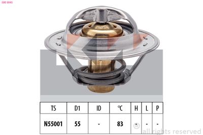 TERMOSTAT LICHID RACIRE