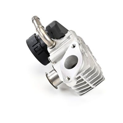 AGR-VENTIL DELPHI EG1064312B1 20