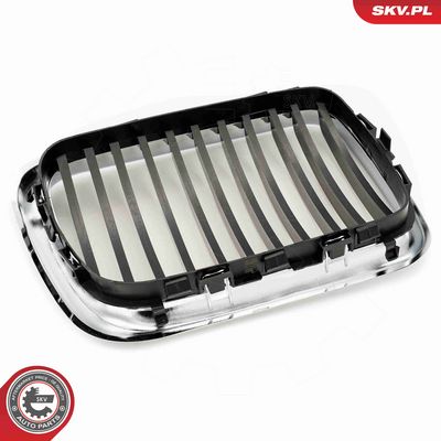 GRILA RADIATOR ESEN SKV 66SKV053 8