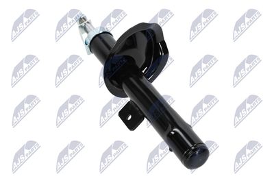 AMORTIZOR NTY ACT001 13