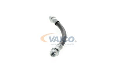 FURTUN FRANA VAICO V104136 23