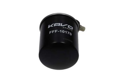 FILTRU COMBUSTIBIL AMC Filter FFF10170 4